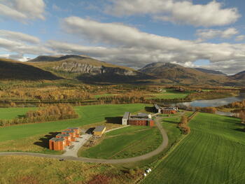 Viken senter