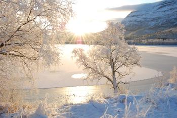 Vinterlys ved viken senter