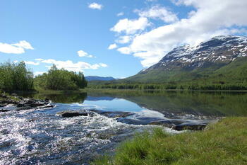 Sommer i vika